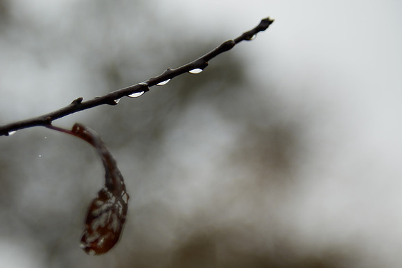 Water droplets near Saluda Hill Baptist Church