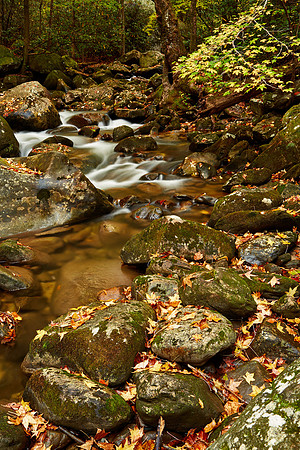 Middle Saluda River, Jones Gap State Park, Marietta, SC