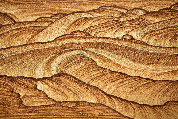 Bob Campbell Geology Museum, Clemson University, Clemson, SC