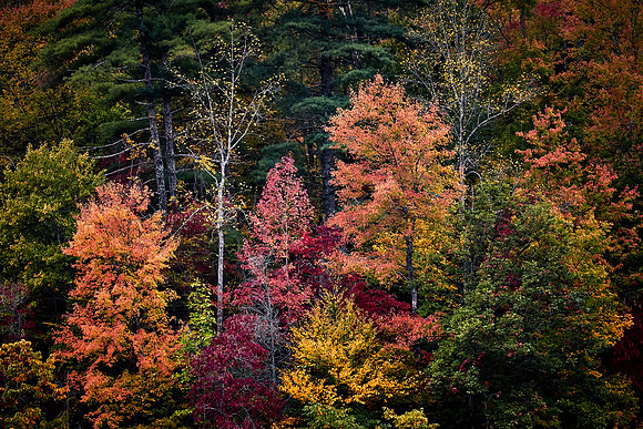 Lake Jocassee, SC