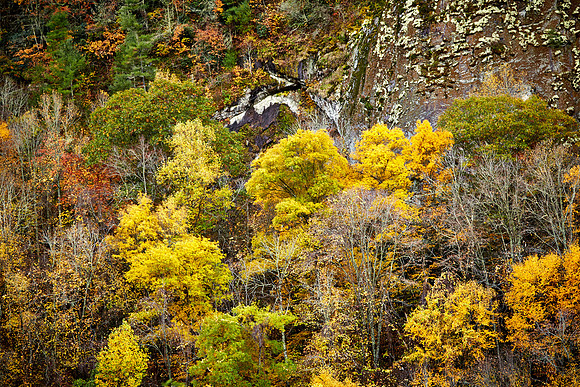 Fall color, Hwy 64 near Highlands, NC