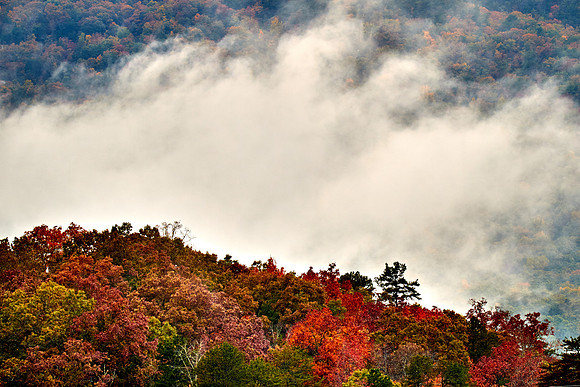 Fall color near Fred W. Symmes Chapel, Cleveland, SC