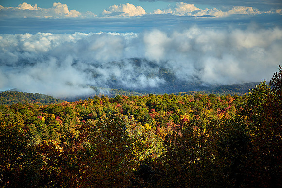 Fall color, Hwy 64 near Highlands, NC