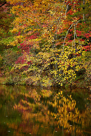 Table Rock State Park, Pickens, SC