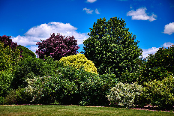 Minnesota Landscape Arboretum
