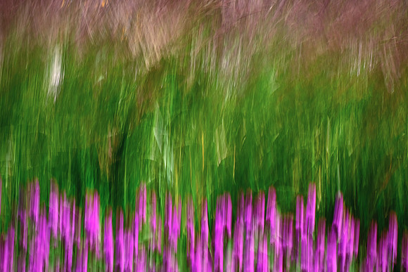 Minnesota Landscape Arboretum