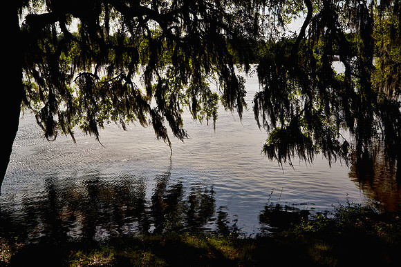 Magnolia Plantation and Gardens, Charleston, SC