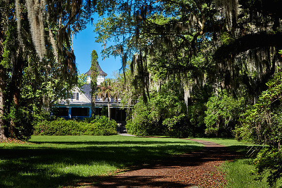 Magnolia Plantation and Gardens, Charleston, SC