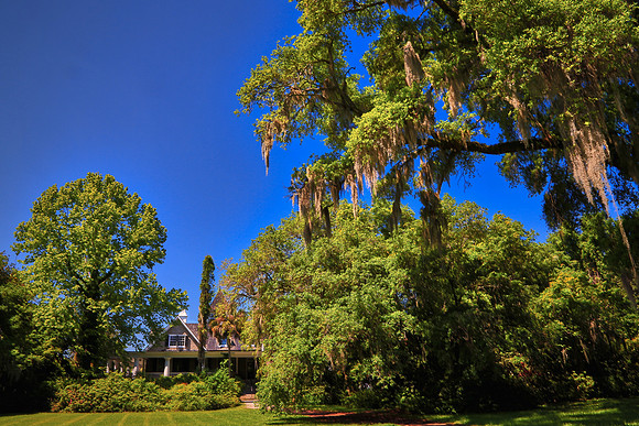 Magnolia Plantation and Gardens, Charleston, SC
