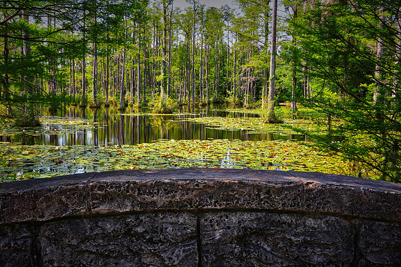Cypress Gardens, Moncks Corner, SC