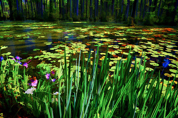 Cypress Gardens, Moncks Corner, SC