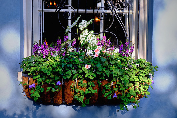Rainbow Row, Charleston, SC