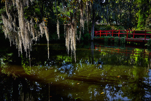 Magnolia Plantation and Gardens, Charleston, SC