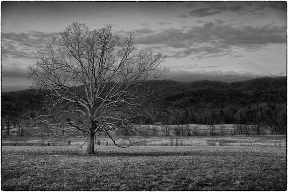 Cades Cove, Tennessee, GSMNP