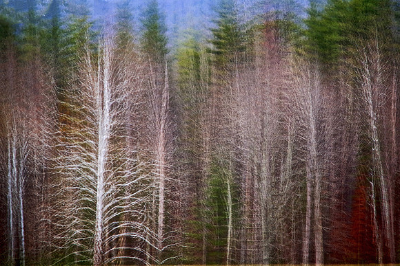 Cades Cove, Tennessee, GSMNP