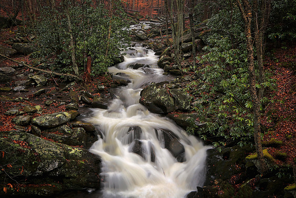 Cades Cove, Tennessee, GSMNP