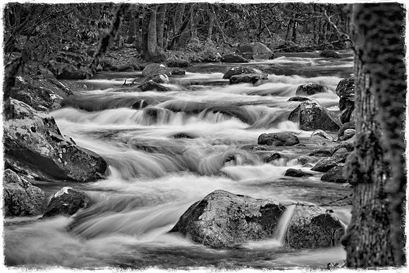 Cades Cove, Tennessee, GSMNP