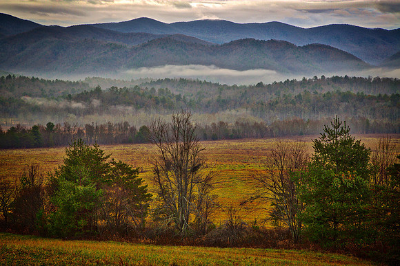Cades Cove, Tennessee, GSMNP