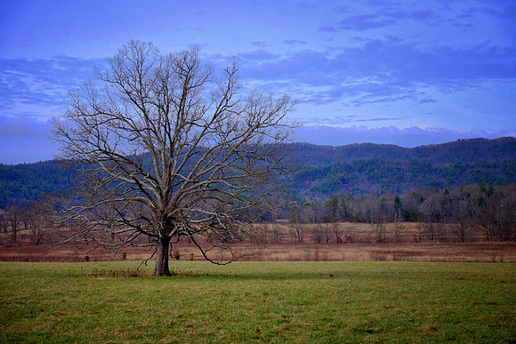 Cades Cove, Tennessee, GSMNP
