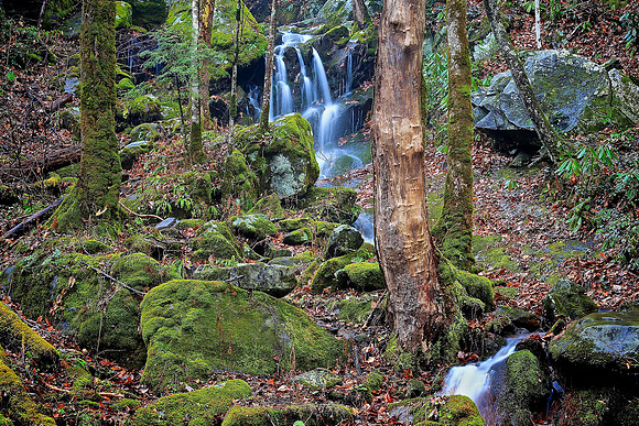 Cades Cove, Tennessee, GSMNP