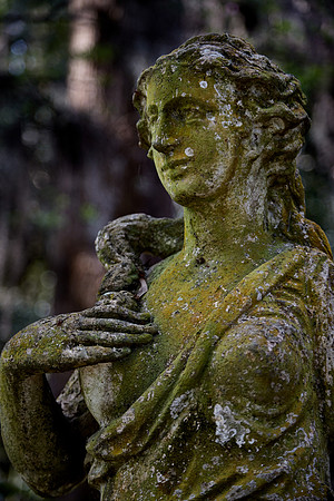 Magnolia Plantation and Gardens, Charleston, SC