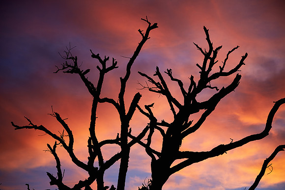 Botany Bay Plantation, Edisto Island, South Carolina