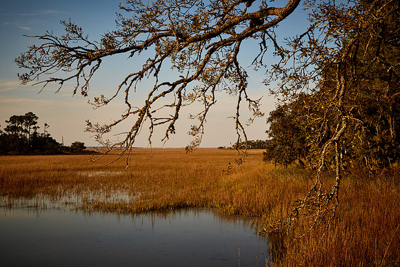 Hunting Island, SC