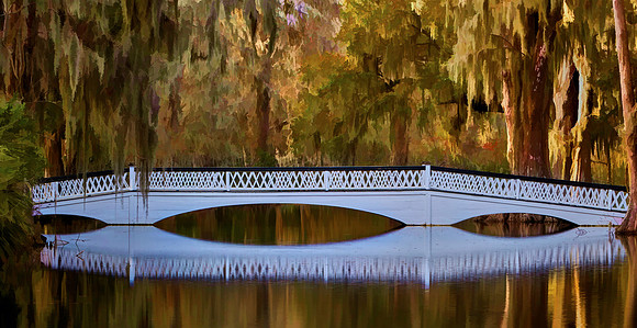 Magnolia Plantation and Gardens, Charleston, SC