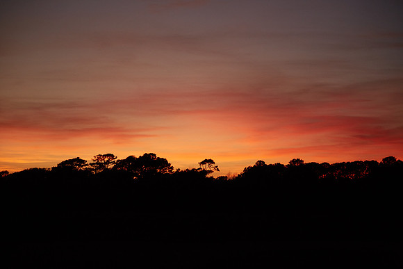 Botany Bay Plantation, Edisto Island, South Carolina