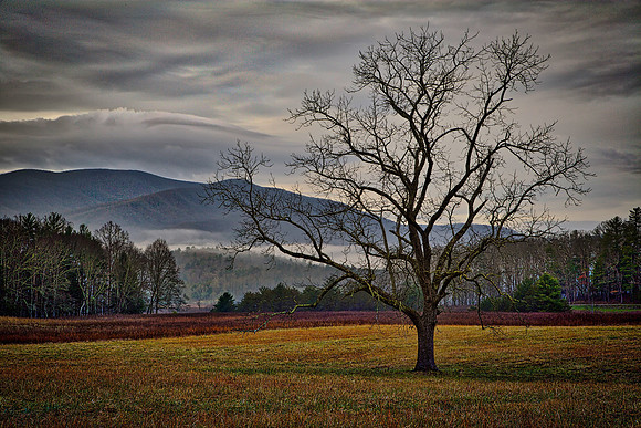 Cades Cove, Tennessee, GSMNP