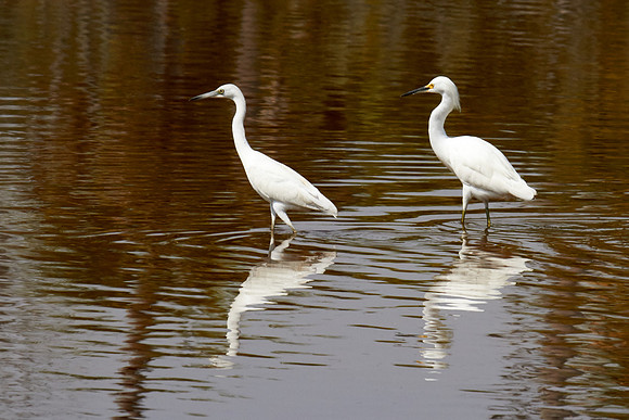 Tomoka State Park, Ormond Beach, FL