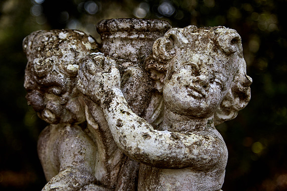 Magnolia Plantation and Gardens, Charleston, SC