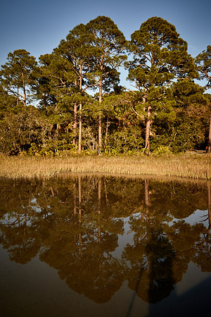 Hunting Island, SC