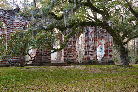Old Sheldon Church Ruins