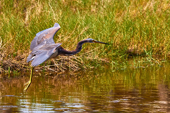 Tomoka State Park, Ormond Beach, FL