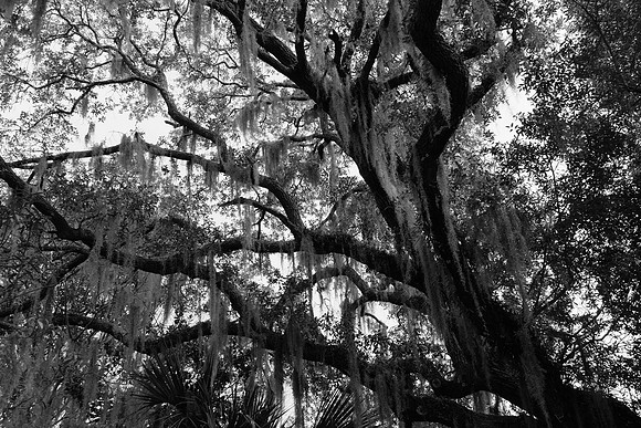 Beaufort, SC