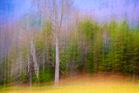 Cades Cove, Tennessee, GSMNP