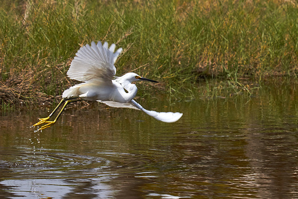 Tomoka State Park, Ormond Beach, FL
