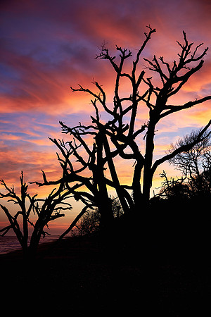 Botany Bay Plantation, Edisto Island, South Carolina