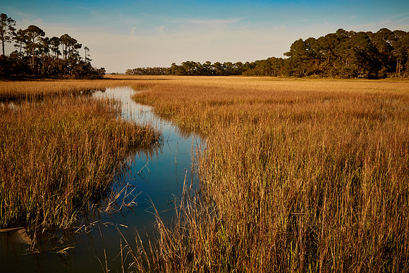 Hunting Island, SC