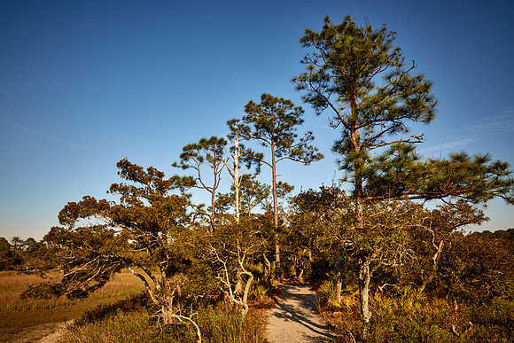 Hunting Island, SC