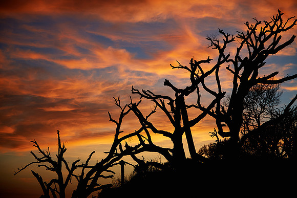 Botany Bay Plantation, Edisto Island, South Carolina