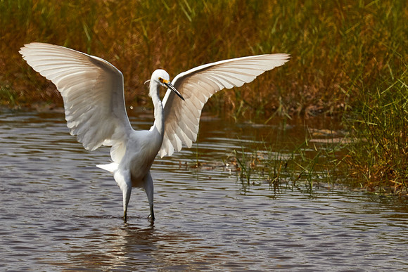 Tomoka State Park, Ormond Beach, FL