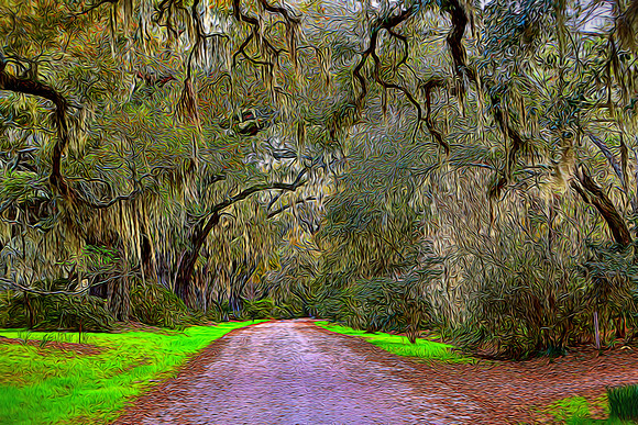 Magnolia Plantation and Gardens, Charleston, SC