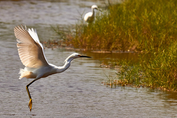 Tomoka State Park, Ormond Beach, FL