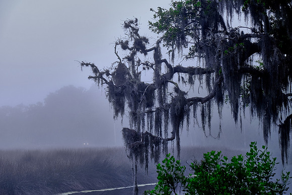 Tomoka State Park, Ormond Beach, FL