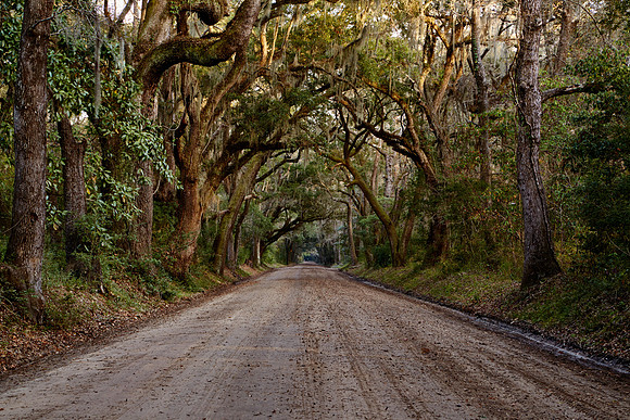 Botany Bay Plantation, Edisto Island, South Carolina