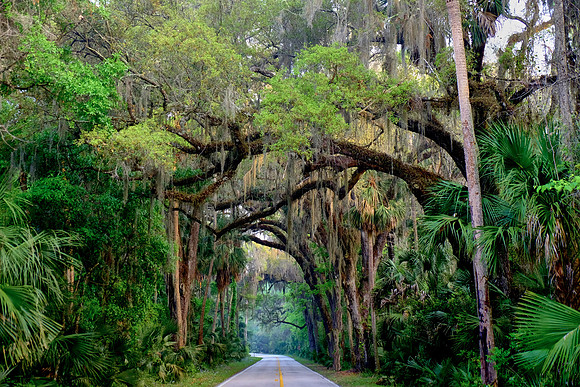 Tomoka State Park, Ormond Beach, FL