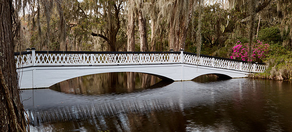 Magnolia Plantation and Gardens, Charleston, SC
