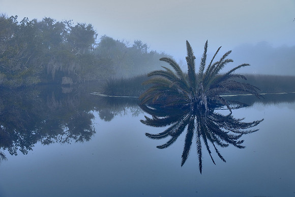 Tomoka State Park, Ormond Beach, FL